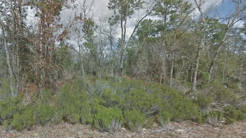 217 Cypress Street Interlachen FL 32148