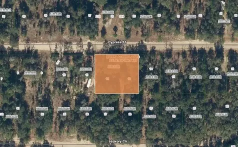 217 Cypress Street Interlachen FL 32148