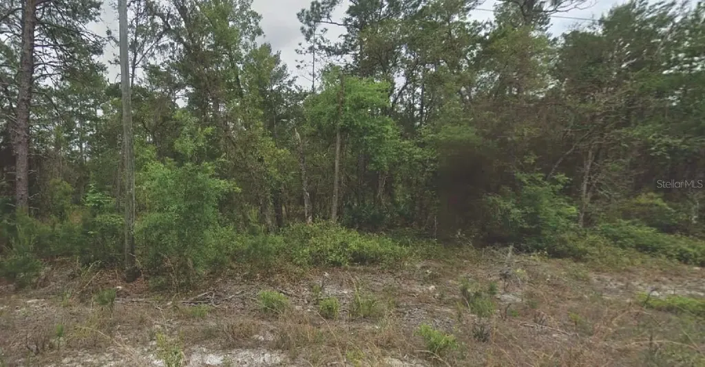 120 New York Avenue Satsuma FL 32189