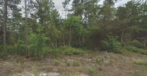 120 New York Avenue Satsuma FL 32189