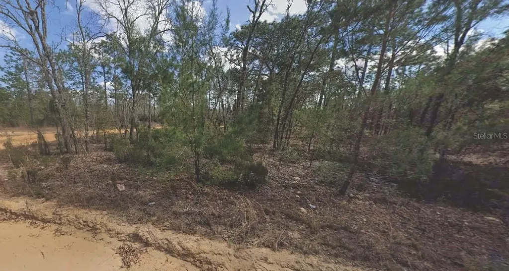 133 Lake Lucy Court Interlachen FL 32148