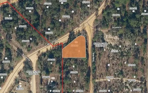 133 Lake Lucy Court Interlachen FL 32148