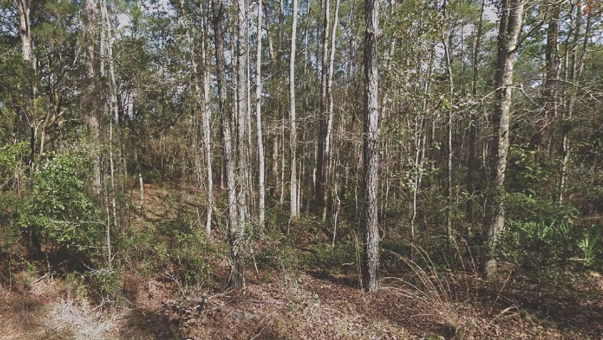 130 SE 5th Street Palatka FL 32177
