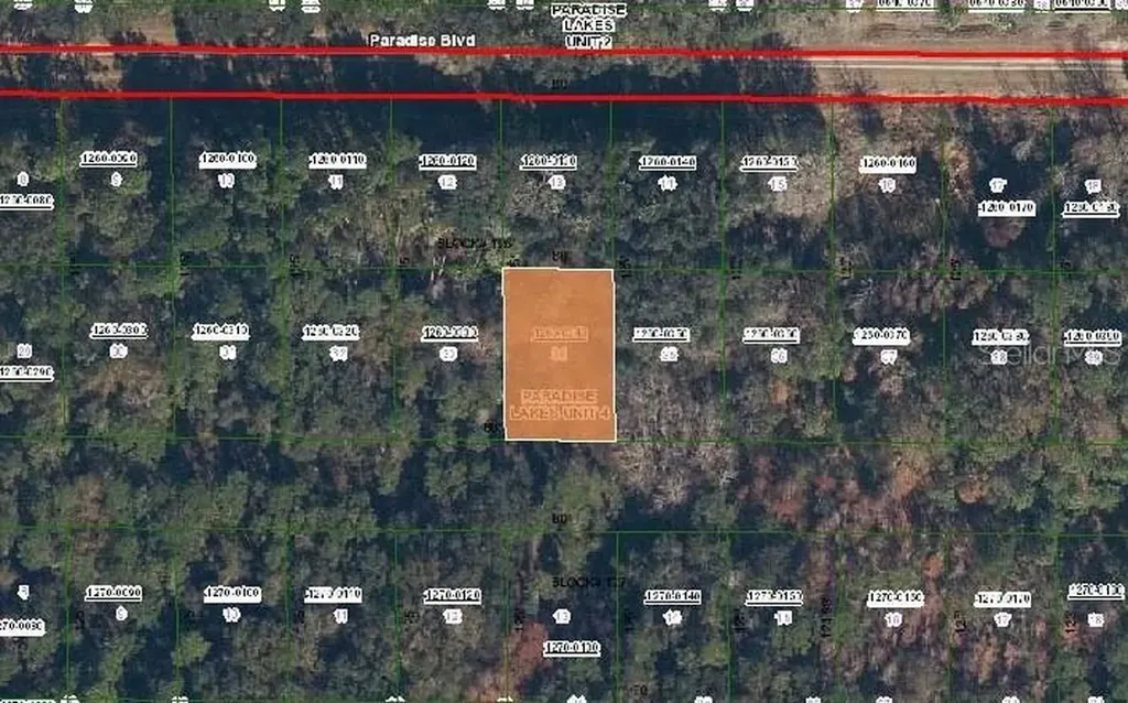 324 E Edgewood Drive Georgetown FL 32139