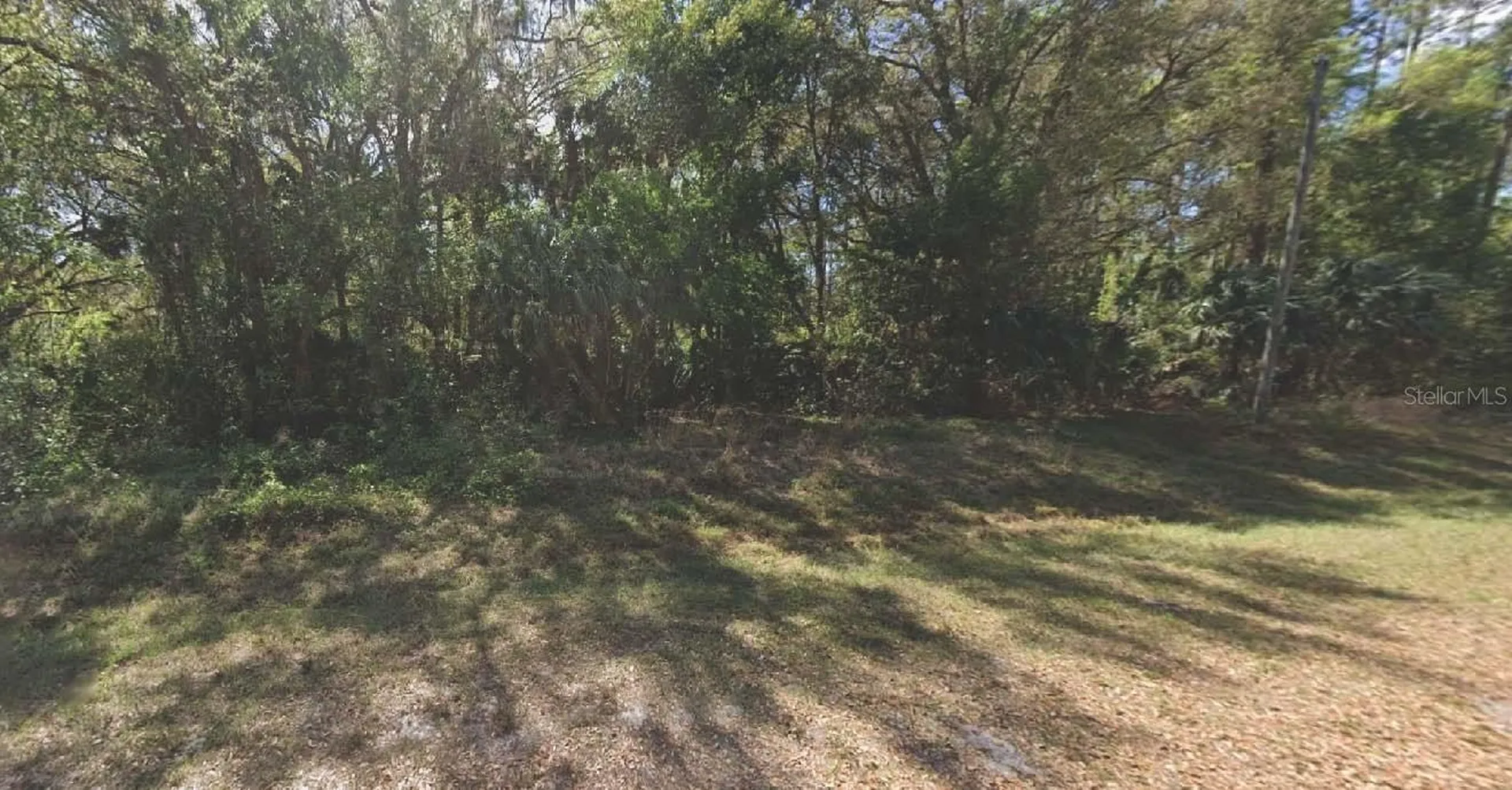 324 E Edgewood Drive Georgetown FL 32139