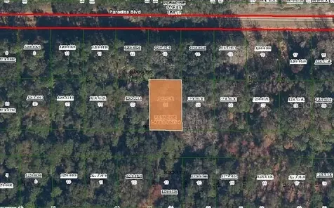 324 E Edgewood Drive Georgetown FL 32139