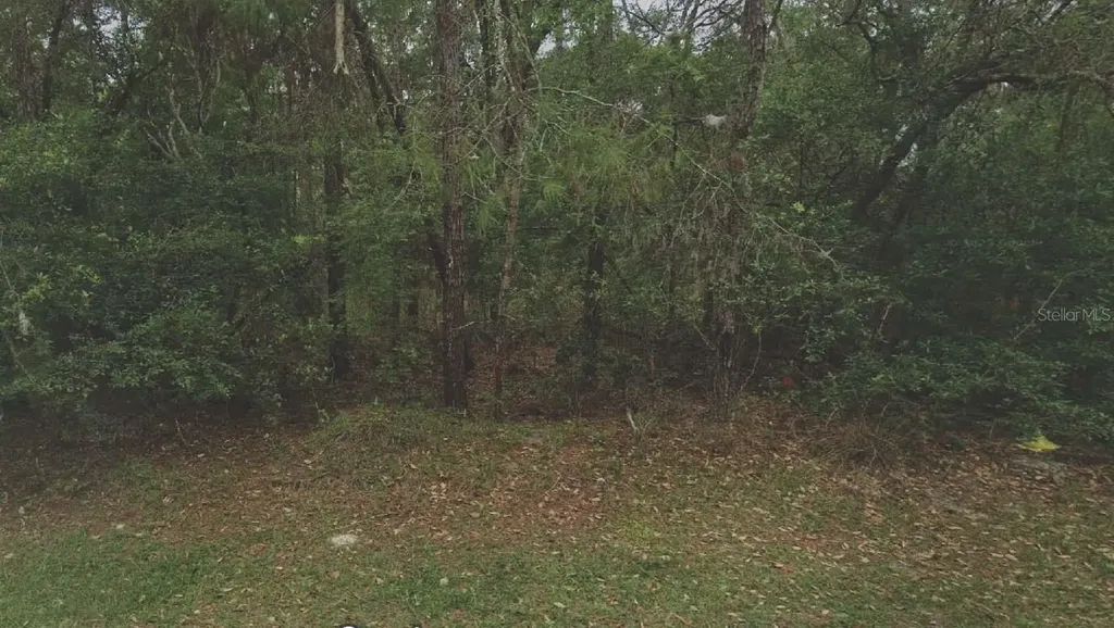 105 Rhode Island Avenue Satsuma FL 32189