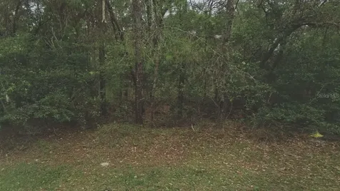 105 Rhode Island Avenue Satsuma FL 32189