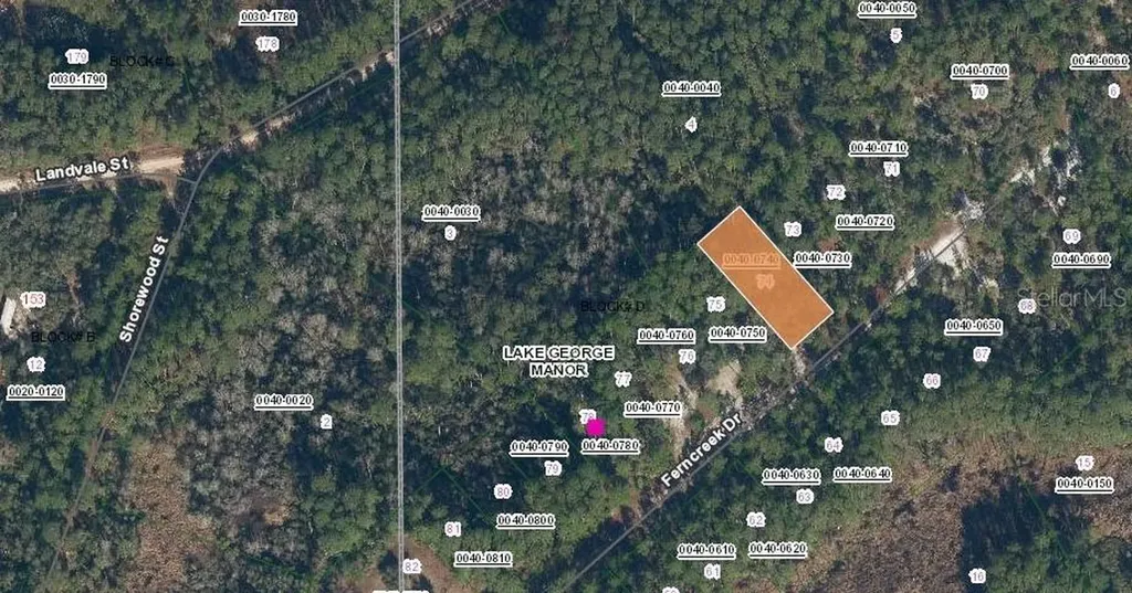 158 Ferncreek Drive Georgetown FL 32139