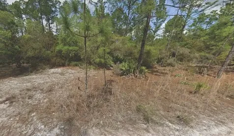 158 Ferncreek Drive Georgetown FL 32139