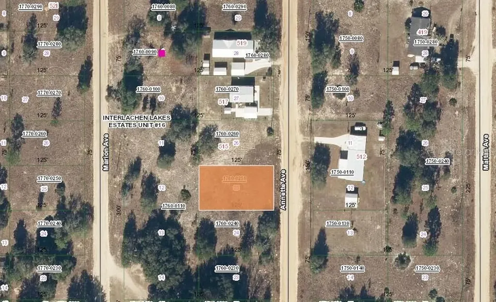 513 Annette Avenue Interlachen FL 32148