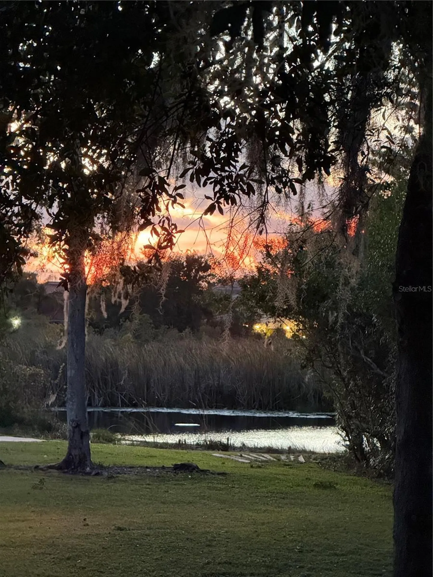 6731 Amanda Vista Circle Land O Lakes FL 34637