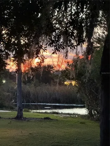 6731 Amanda Vista Circle Land O Lakes FL 34637
