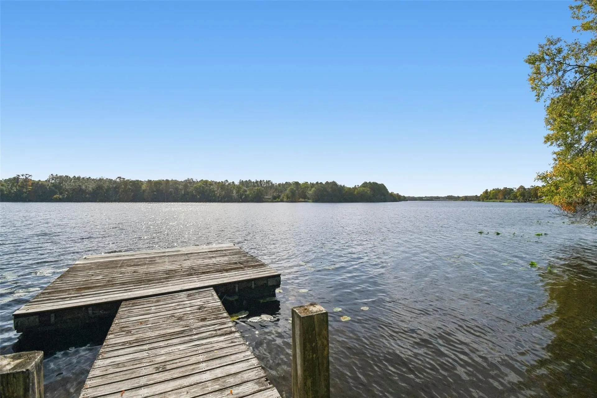 4601 River Hills Drive Tampa FL 33617