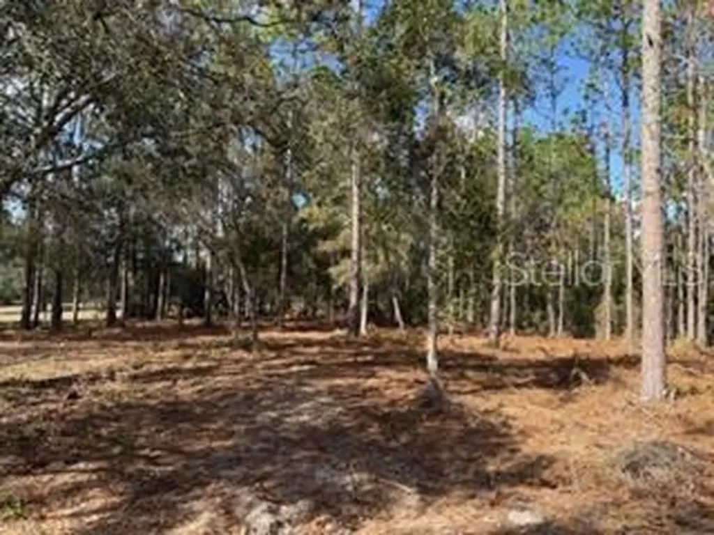 2629 NW 29th Terrace Bell FL 32619