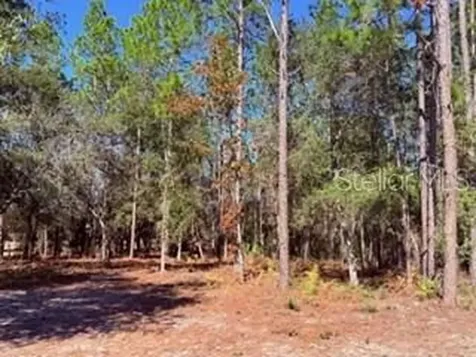 2629 NW 29th Terrace Bell FL 32619