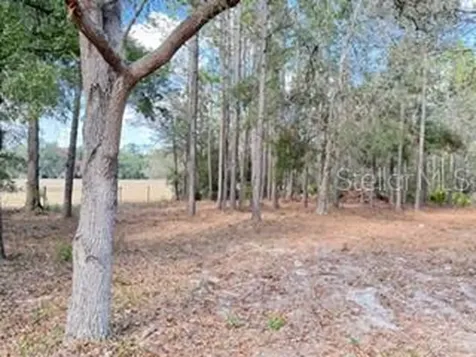 2629 NW 29th Terrace Bell FL 32619