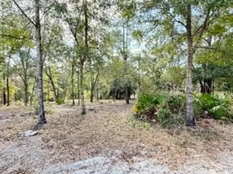 2629 NW 29th Terrace Bell FL 32619