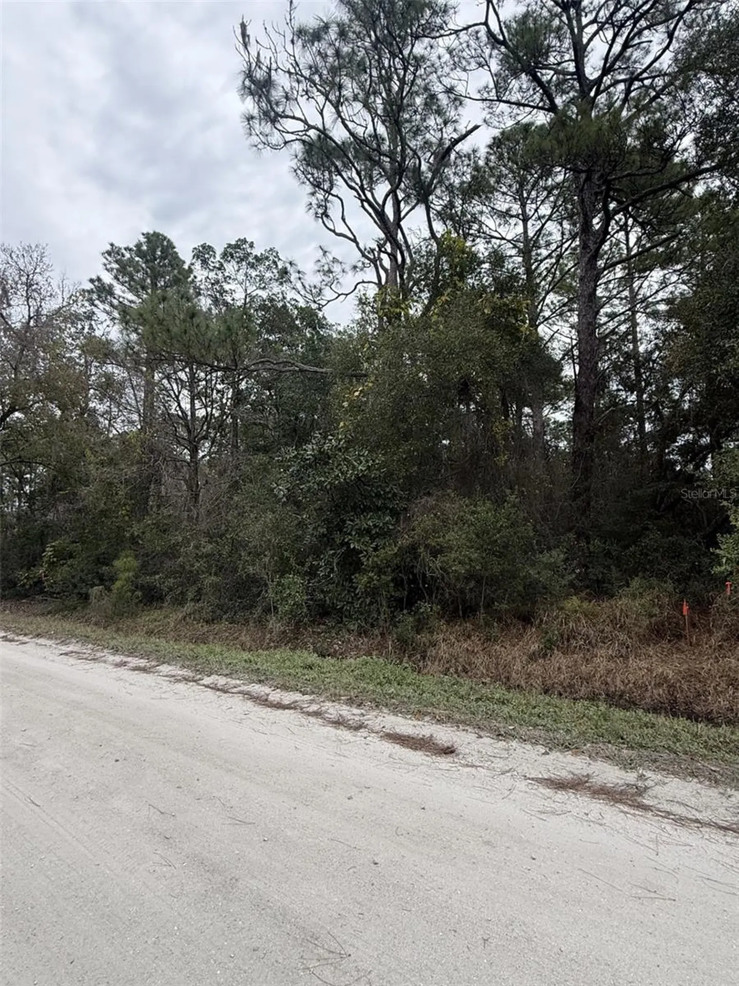 1149 6th Avenue Deland FL 32724