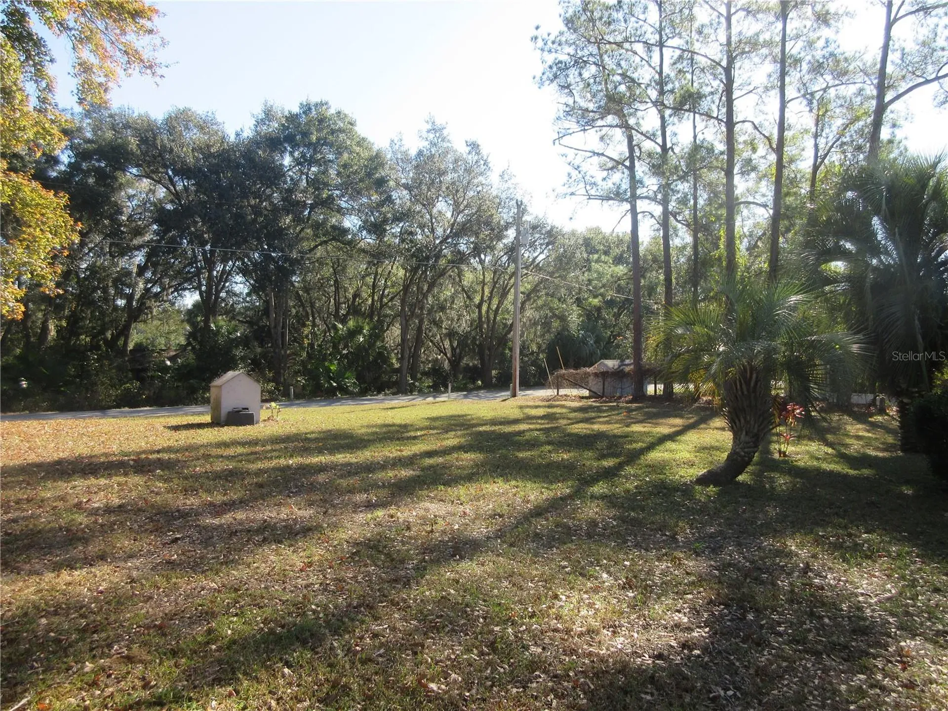 5888 SE 164th Avenue Ocklawaha FL 32179