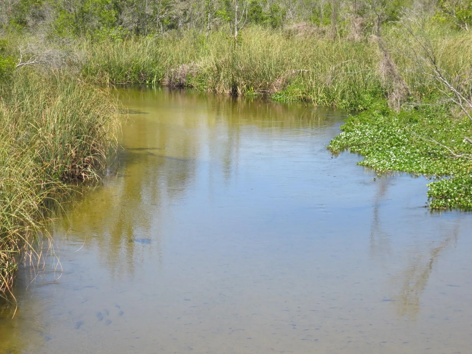 5888 SE 164th Avenue Ocklawaha FL 32179