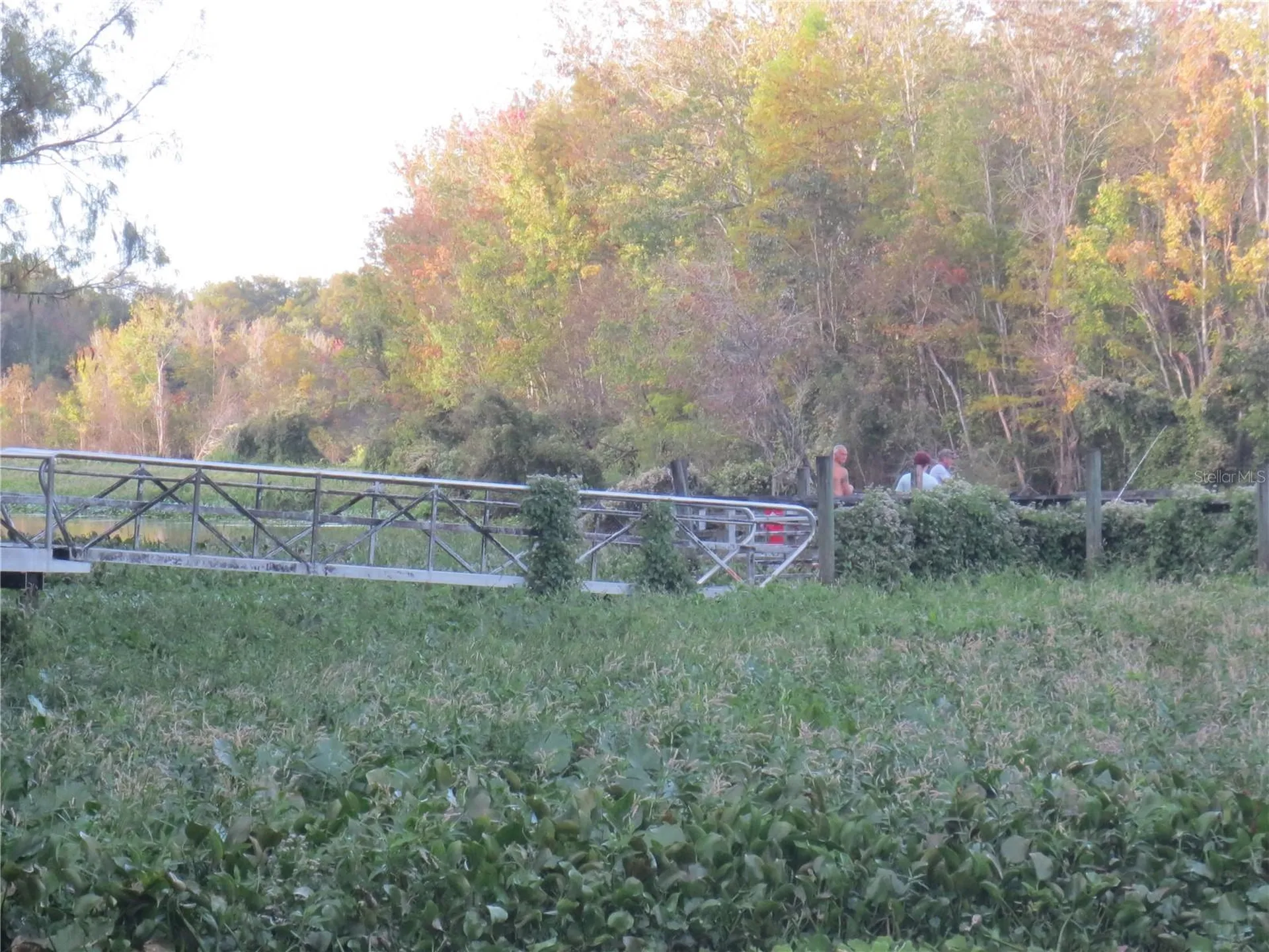 5888 SE 164th Avenue Ocklawaha FL 32179