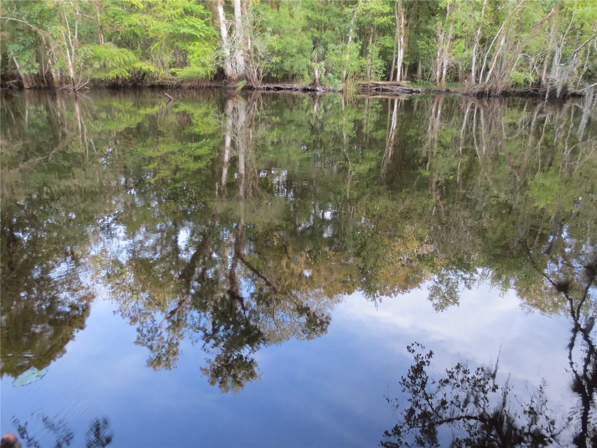 5888 SE 164th Avenue Ocklawaha FL 32179