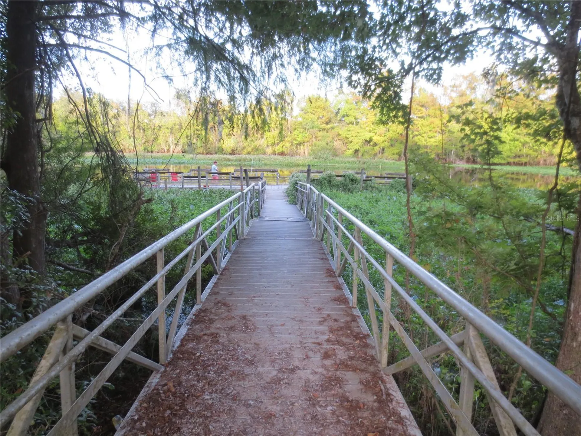 5888 SE 164th Avenue Ocklawaha FL 32179