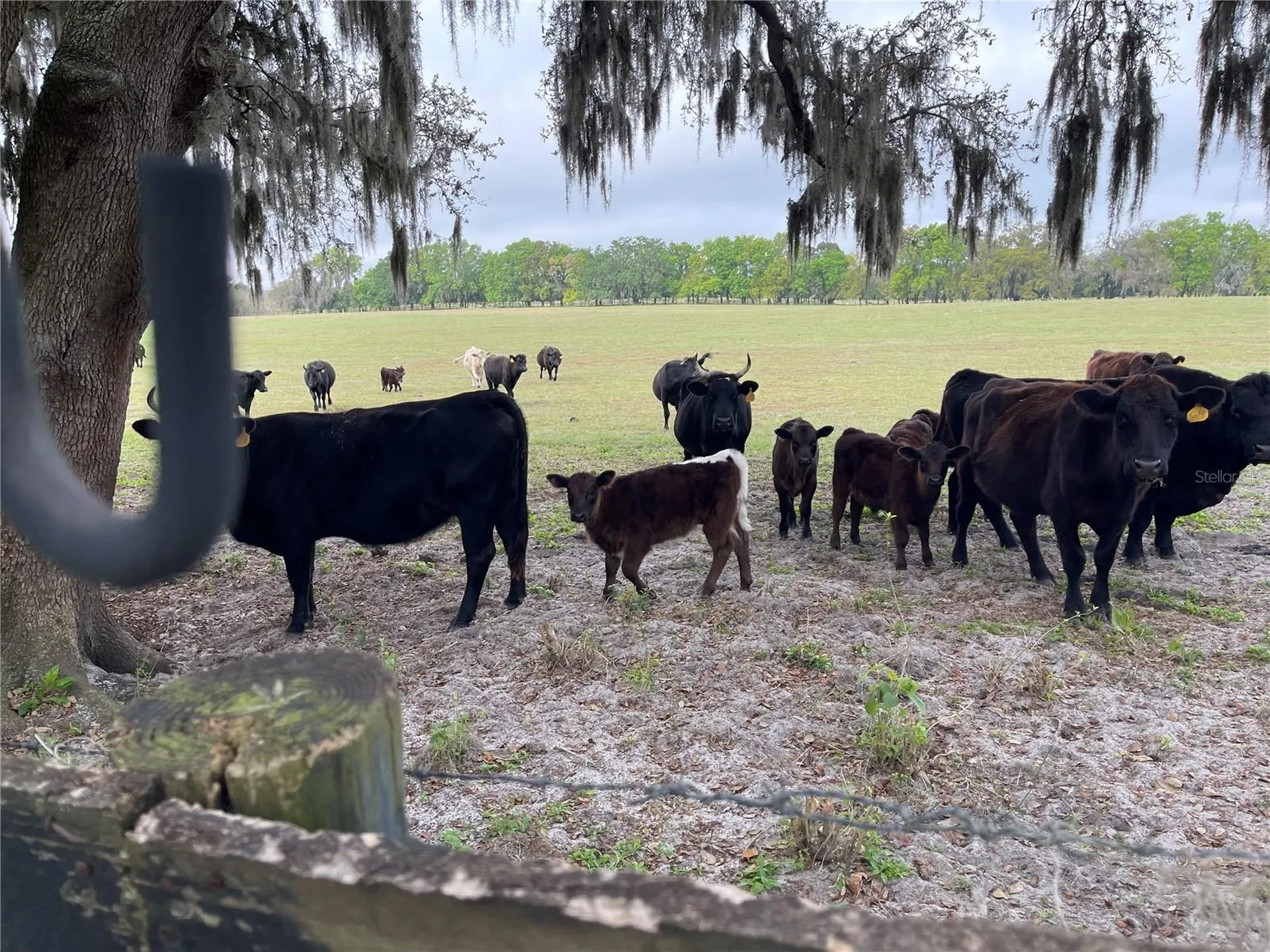 8089 SE 174th Belhaven Loop The Villages FL 32162