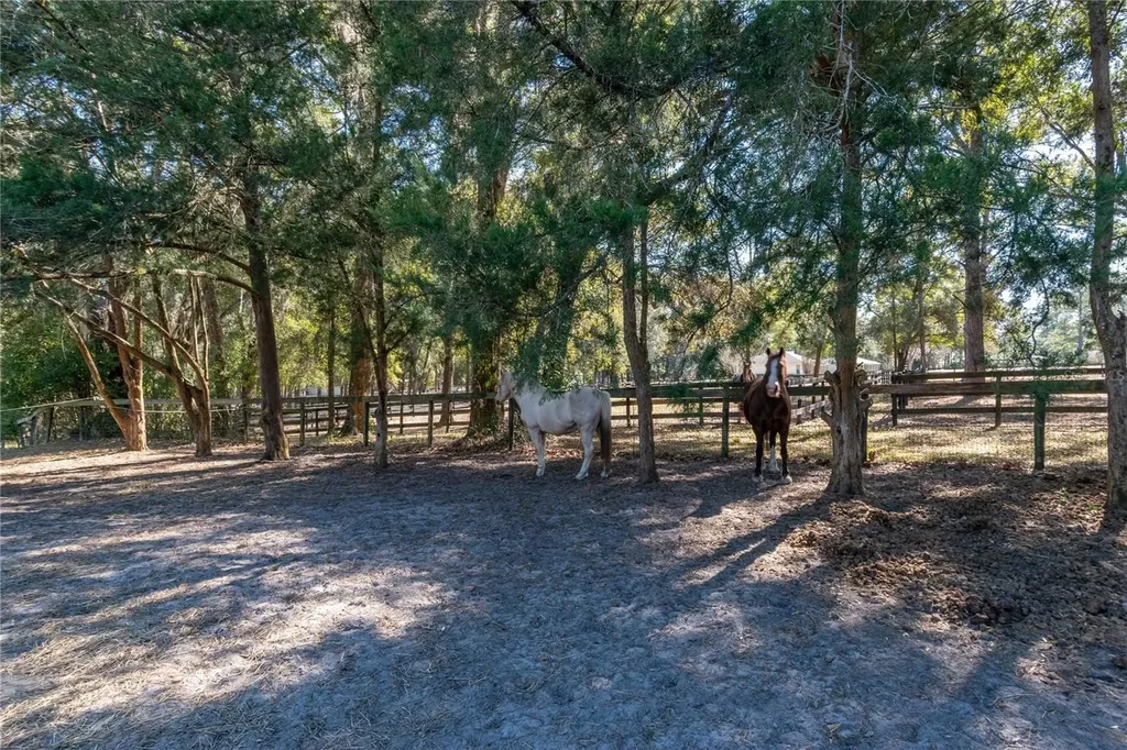 26 Wood Ridge Drive Ocala FL 34482