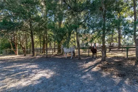 26 Wood Ridge Drive Ocala FL 34482