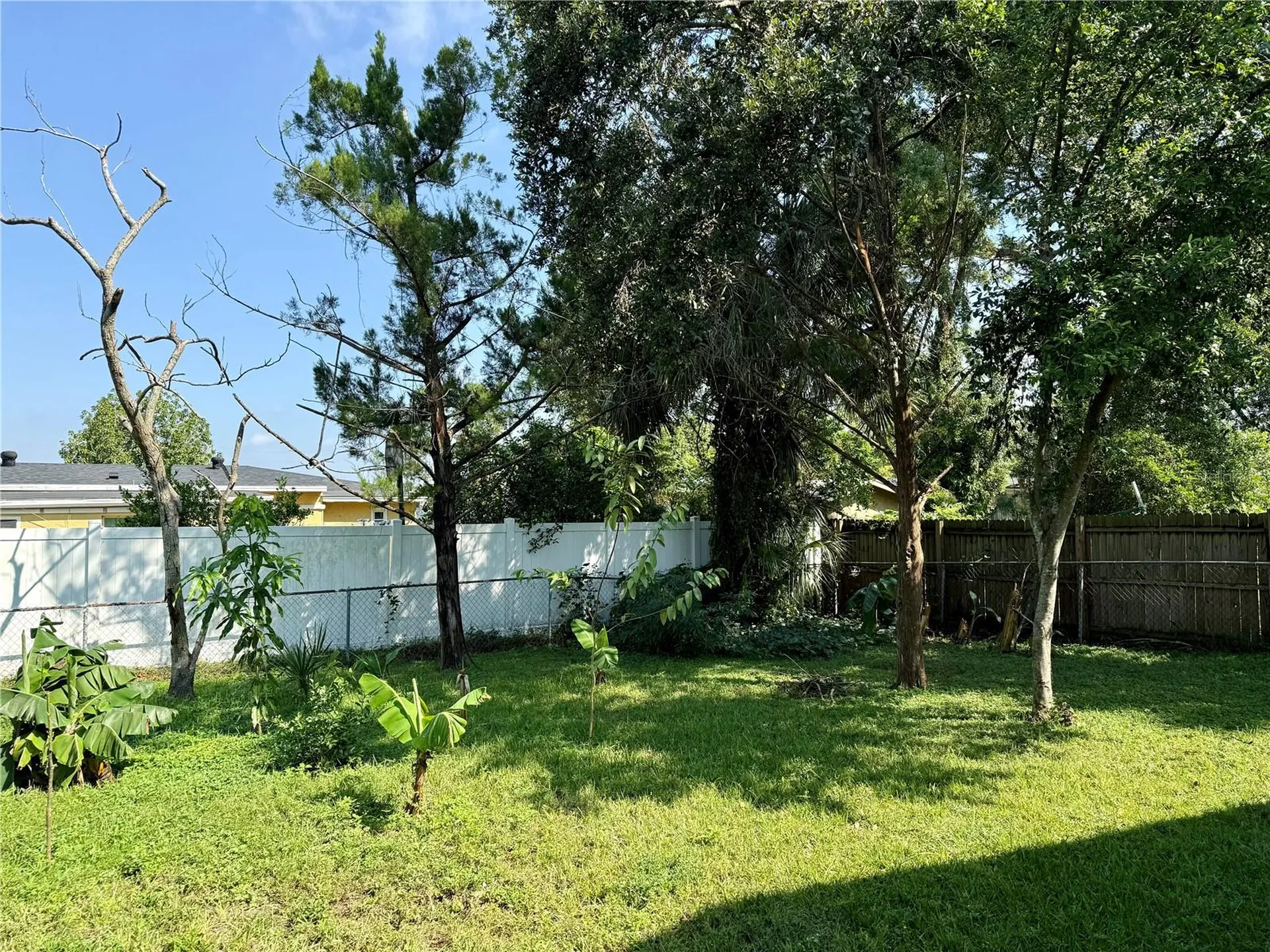 6233 Balboa Drive Orlando FL 32808