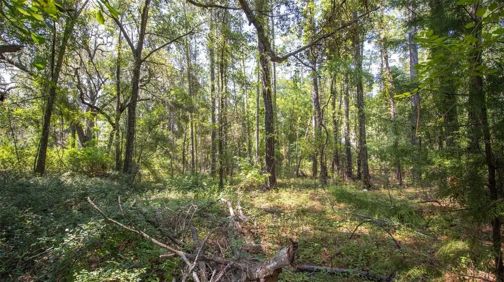 101 Ashley Lake Drive Melrose FL 32666