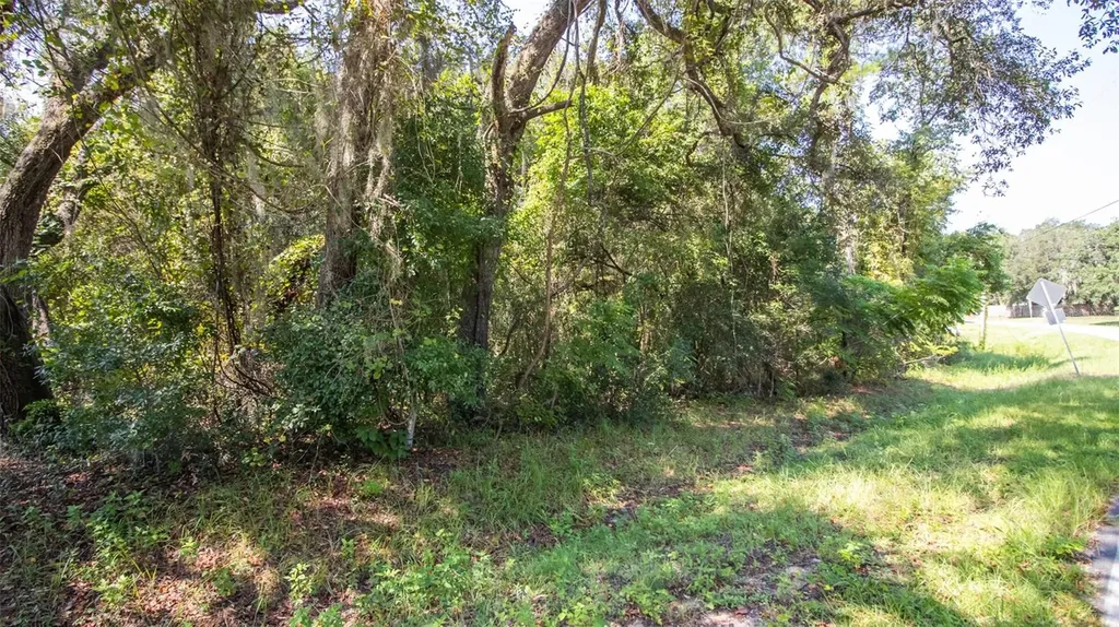 101 Ashley Lake Drive Melrose FL 32666
