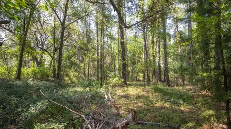 101 Ashley Lake Drive Melrose FL 32666