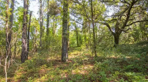 101 Ashley Lake Drive Melrose FL 32666
