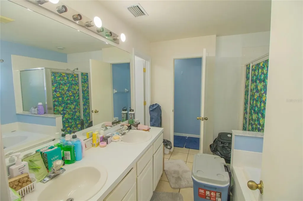 10606 Walker Vista Drive Riverview FL 33578