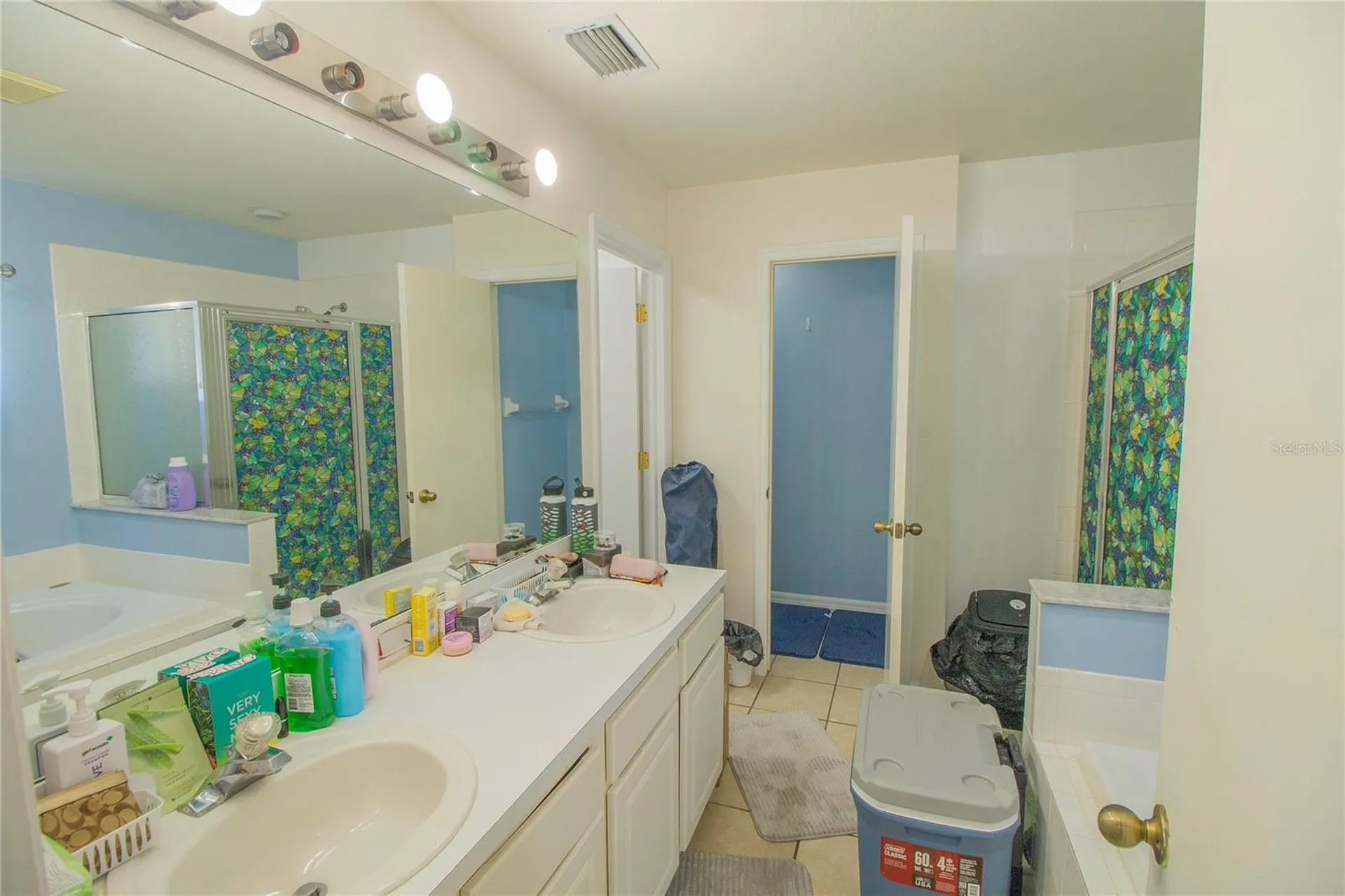 10606 Walker Vista Drive Riverview FL 33578
