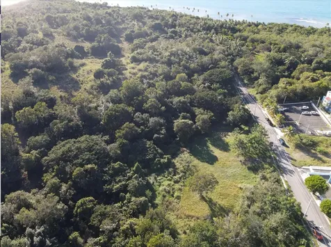 Carr. 307, Km. 3.5 La Mela, Bo. Pedernales Cabo Rojo PR 00623