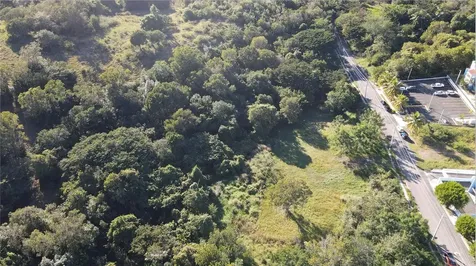 Carr. 307, Km. 3.5 La Mela, Bo. Pedernales Cabo Rojo PR 00623