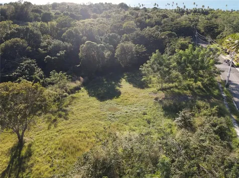 Carr. 307, Km. 3.5 La Mela, Bo. Pedernales Cabo Rojo PR 00623