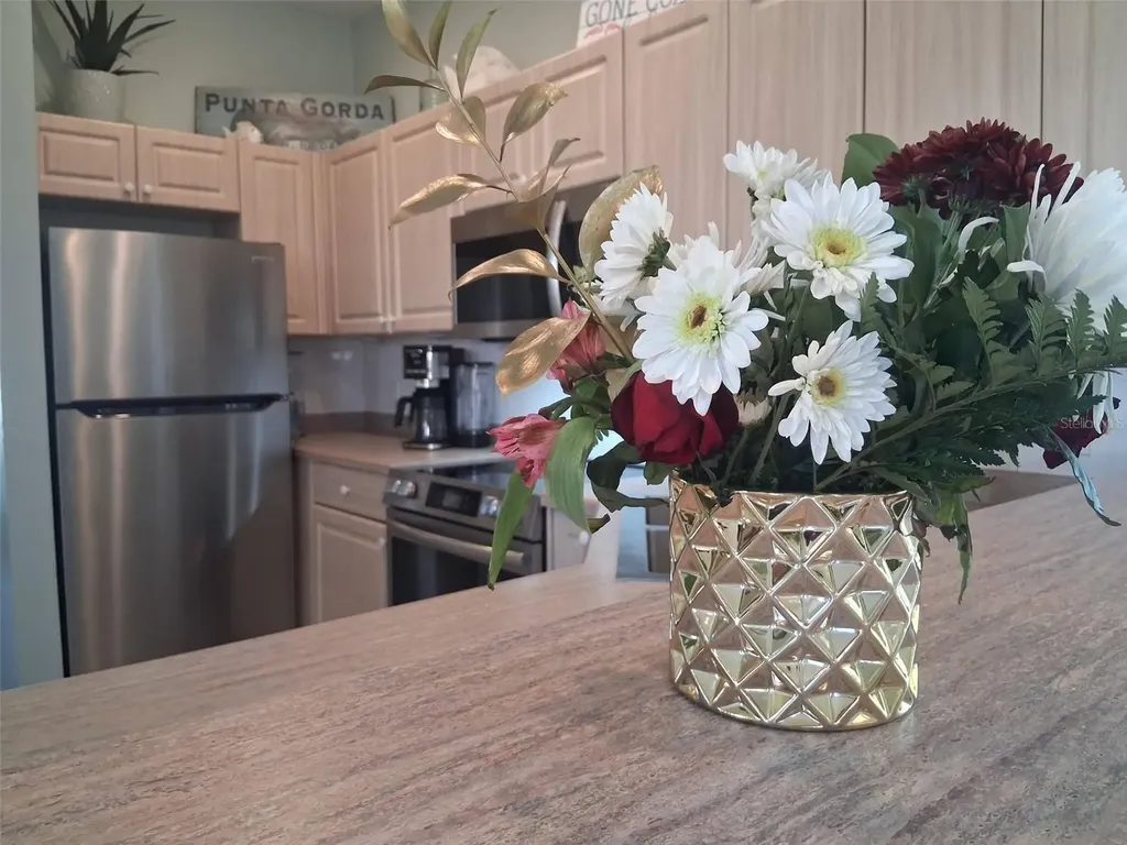 216 Berry Street Punta Gorda FL 33950