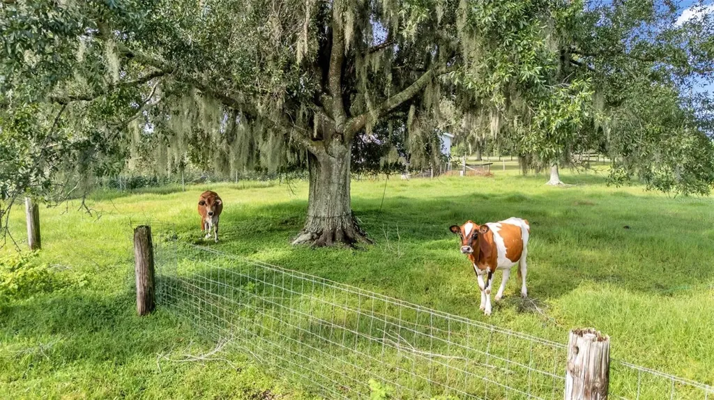 606 Morgan Road Winter Haven FL 33880
