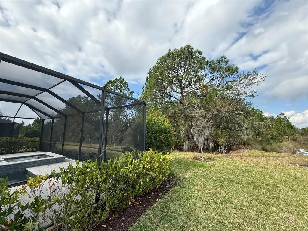 33314 Castaway Loop Wesley Chapel FL 33543