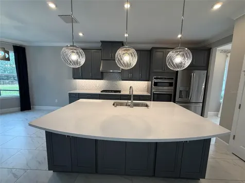 33314 Castaway Loop Wesley Chapel FL 33543