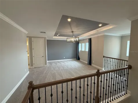 33314 Castaway Loop Wesley Chapel FL 33543
