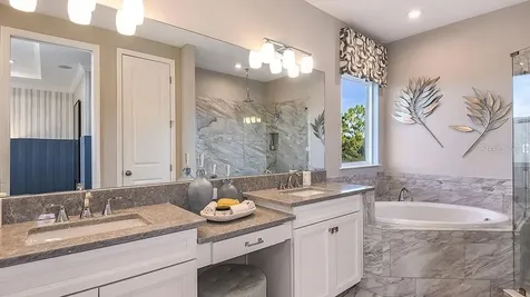 33314 Castaway Loop Wesley Chapel FL 33543