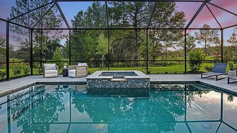 33314 Castaway Loop Wesley Chapel FL 33543