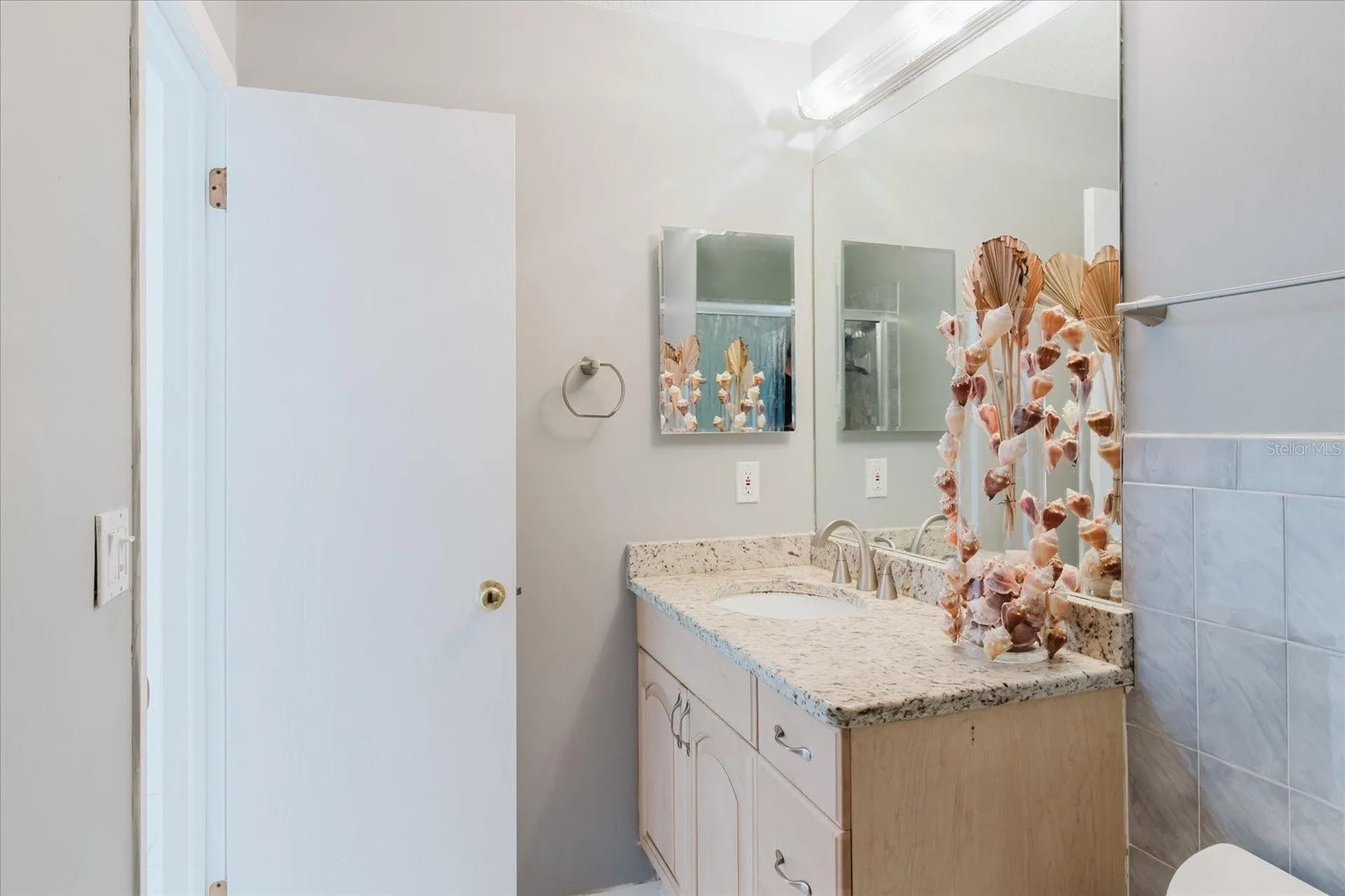 428 Moorings Cove Drive Tarpon Springs FL 34689