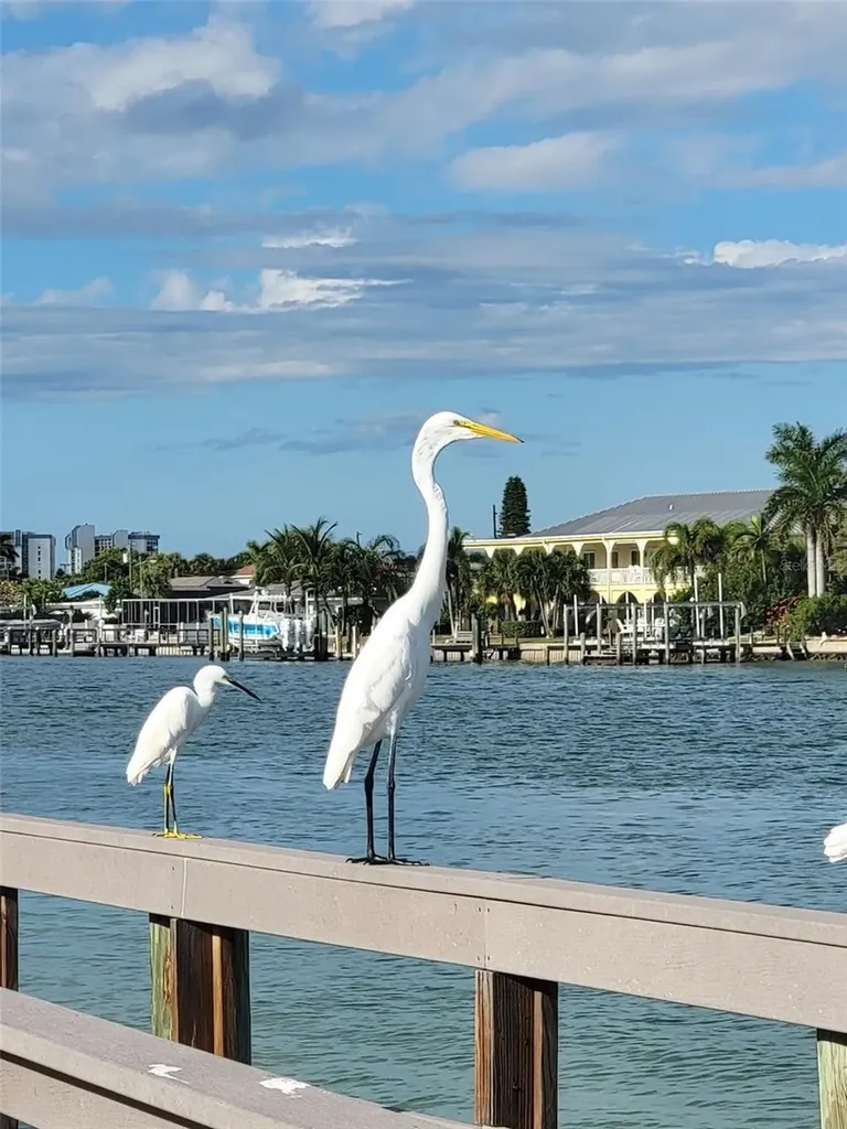535 68th Avenue St Pete Beach FL 33706